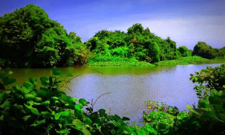 Mount-Lavinia-Beach-27-min-768×461-1